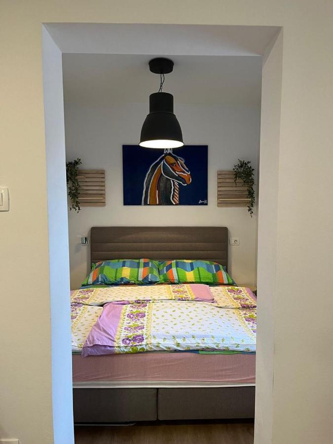 Apartment Sun&Sea, Senj, Prvi Red Do Mora سينج المظهر الخارجي الصورة