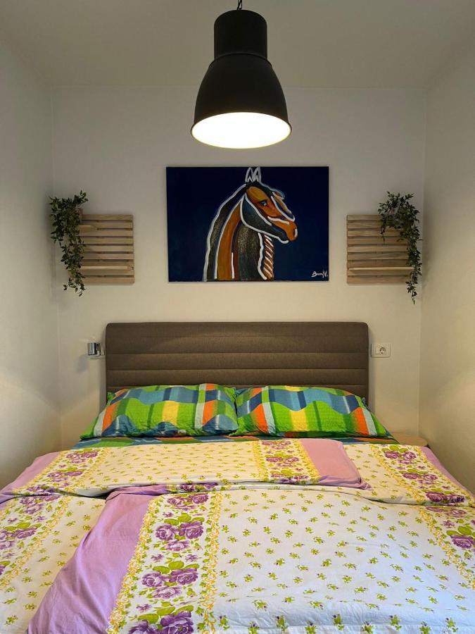 Apartment Sun&Sea, Senj, Prvi Red Do Mora سينج المظهر الخارجي الصورة